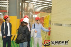 菲律賓及日本客戶一行聯(lián)合來訪寶潤達(dá)